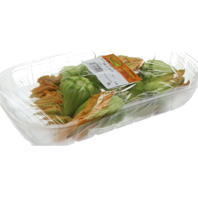 FLEUR COURGETTE RAVIER 8X90G